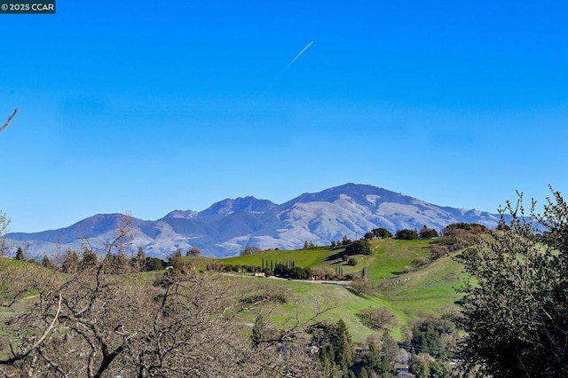 view of mountain feature