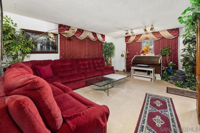 living room with rail lighting, carpet flooring, and a textured ceiling