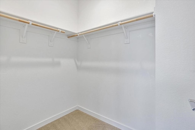 spacious closet with carpet floors