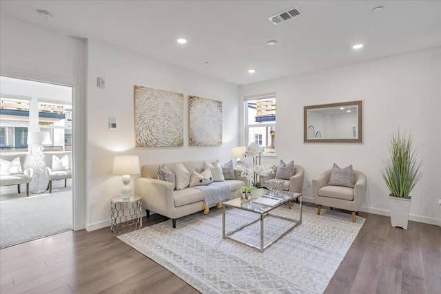 living room featuring hardwood / wood-style floors