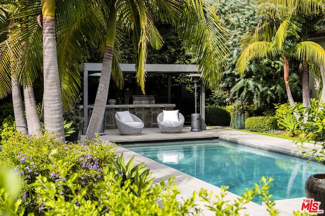 view of swimming pool with a patio and an outdoor bar