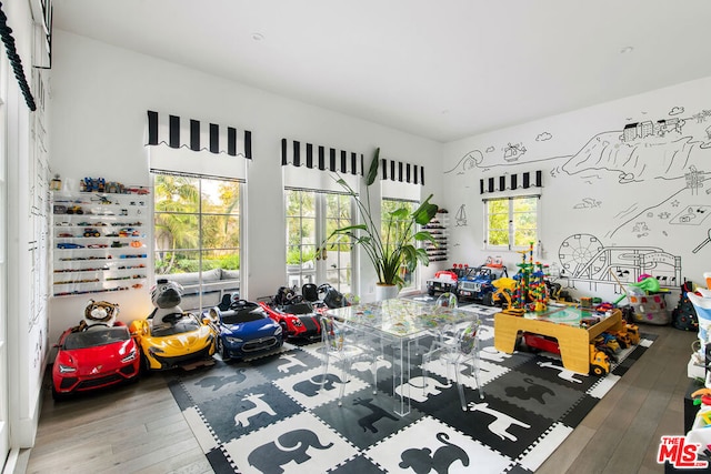 game room with hardwood / wood-style flooring