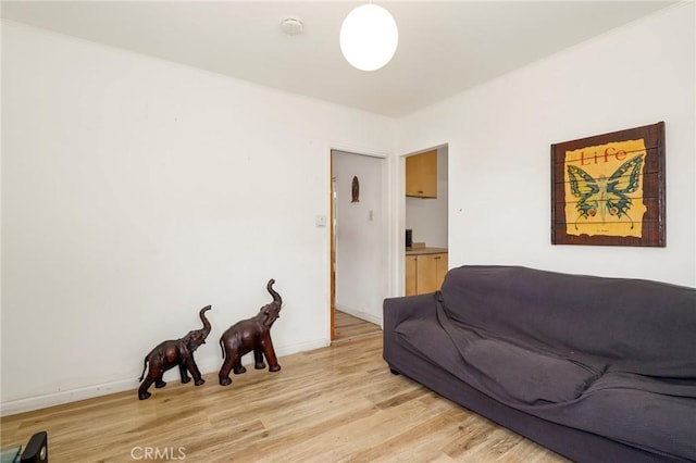 living room with light hardwood / wood-style flooring