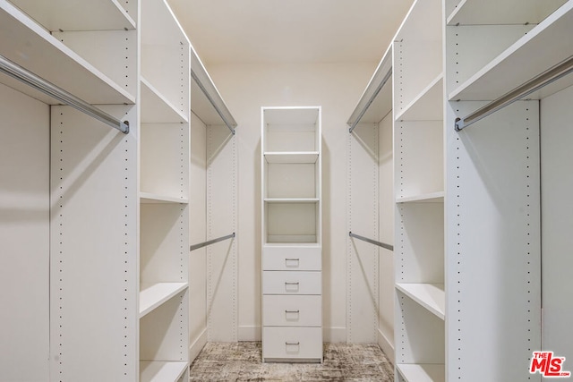 view of spacious closet