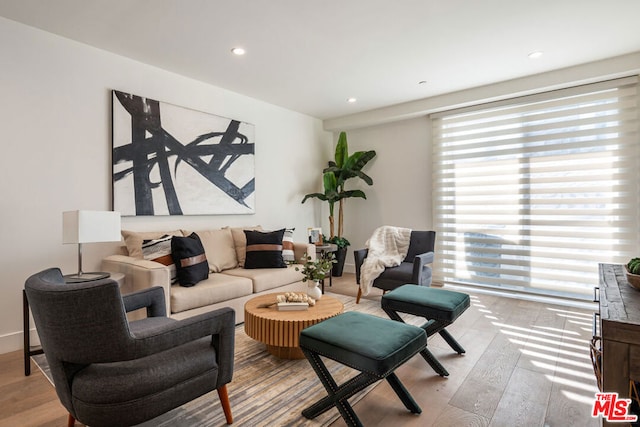 living room with light hardwood / wood-style flooring