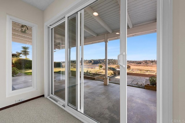 entryway with carpet