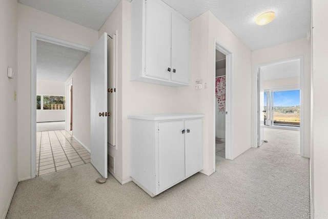 hall with a healthy amount of sunlight, light carpet, and a textured ceiling