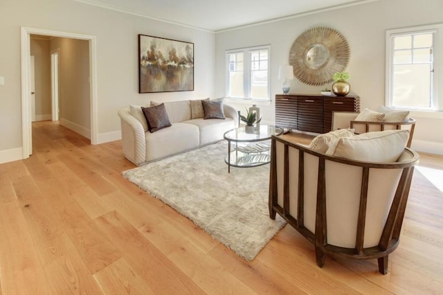 living room featuring ornamental molding and light hardwood / wood-style floors