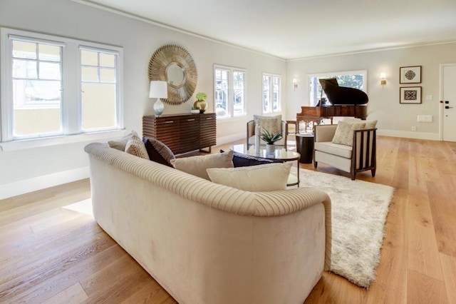 living room with ornamental molding and light hardwood / wood-style flooring