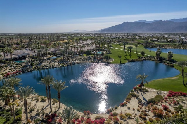 water view featuring a mountain view