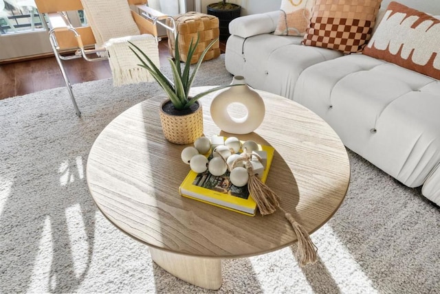 room details featuring hardwood / wood-style floors