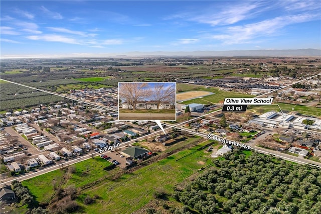 266 E Fig Ln, Corning, CA 96021 - birds eye view of property