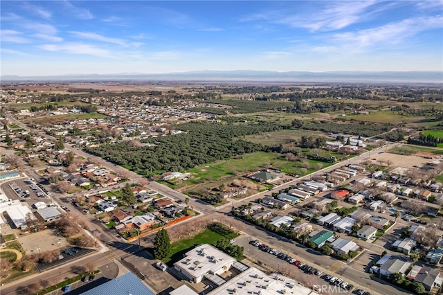 266 E Fig Ln, Corning, CA 96021 - drone / aerial view