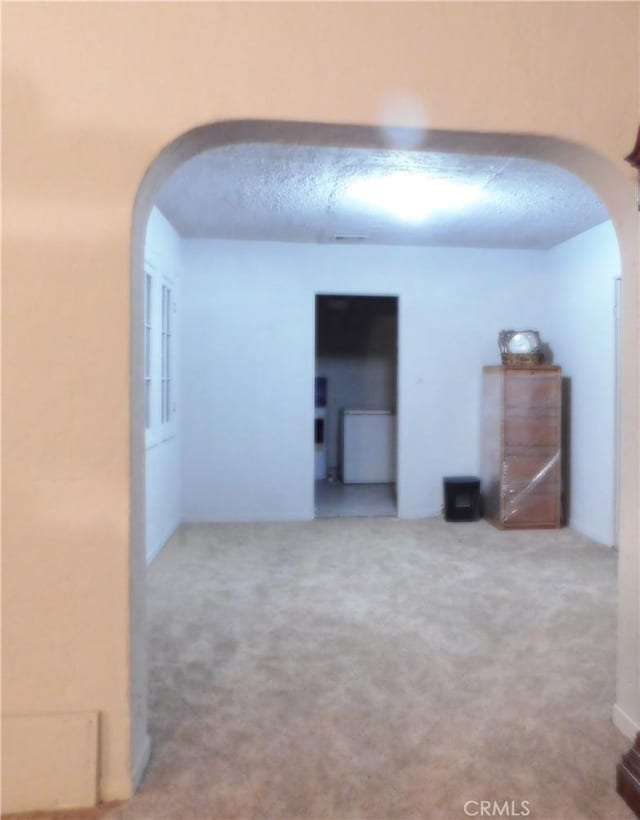 interior space with carpet floors and a textured ceiling