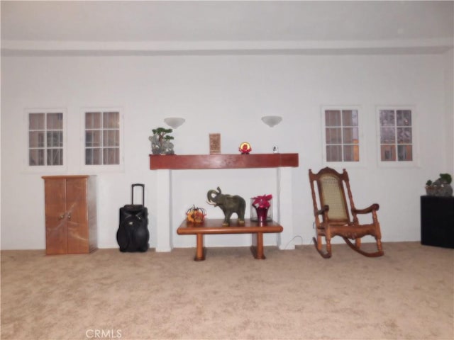 sitting room featuring carpet flooring