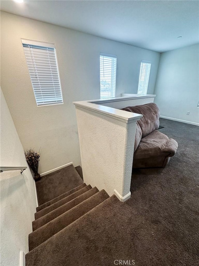 stairway with carpet flooring