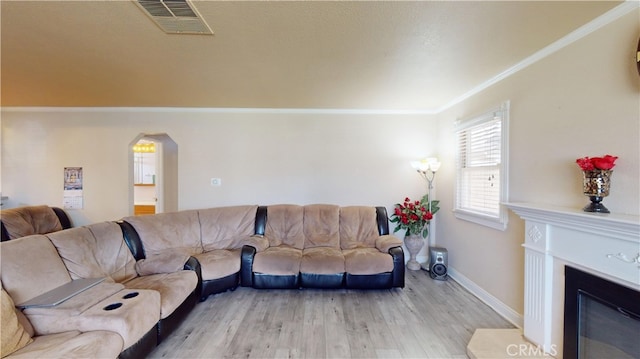 living room with light hardwood / wood-style flooring and ornamental molding