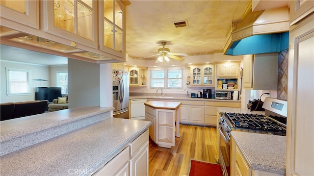 kitchen with ceiling fan, plenty of natural light, appliances with stainless steel finishes, and light hardwood / wood-style flooring