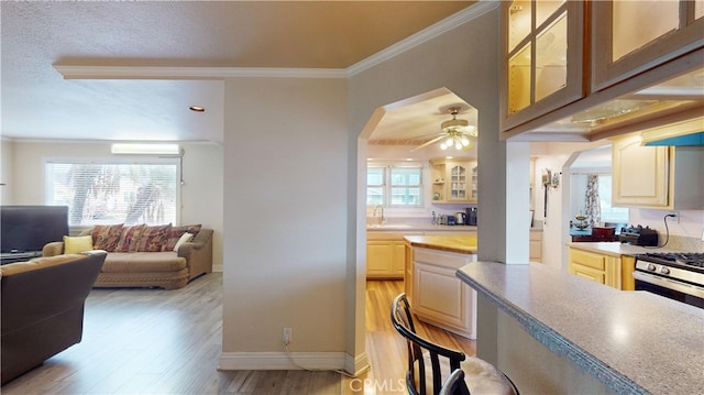 kitchen featuring gas stove, light hardwood / wood-style floors, sink, ceiling fan, and crown molding