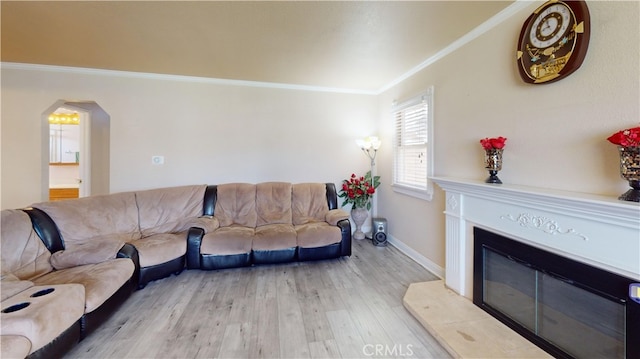 living room with crown molding and light wood-type flooring