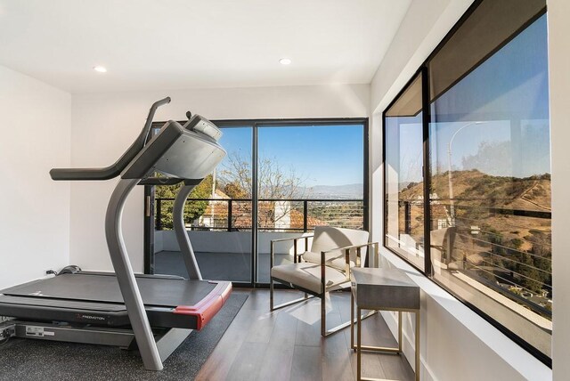 workout area featuring hardwood / wood-style flooring