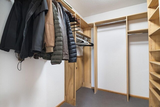 view of walk in closet