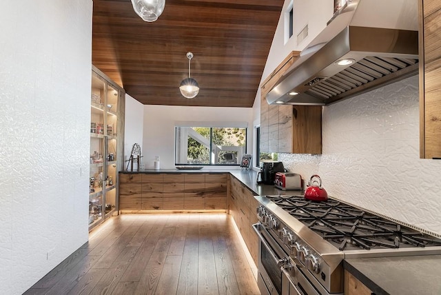 kitchen featuring high end stainless steel range, dark countertops, backsplash, under cabinet range hood, and hardwood / wood-style flooring