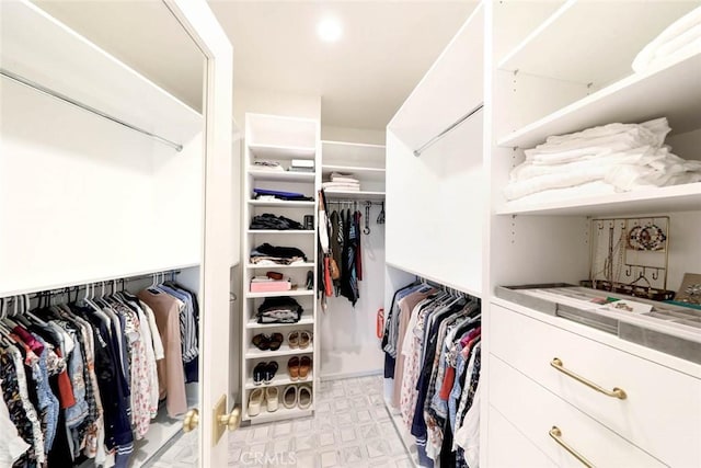 view of spacious closet