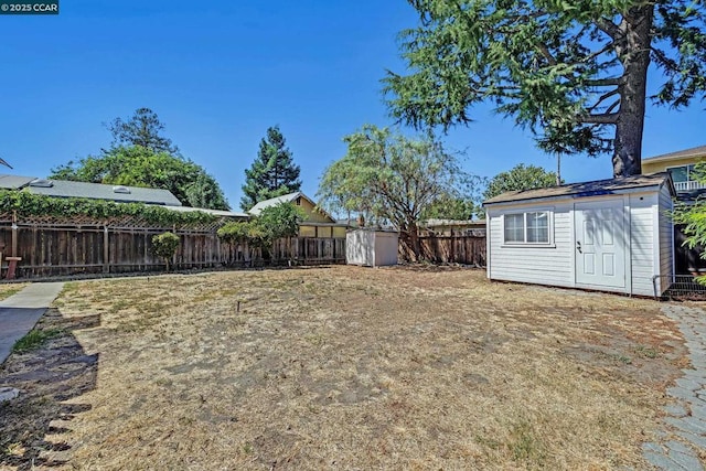 view of yard with a storage unit