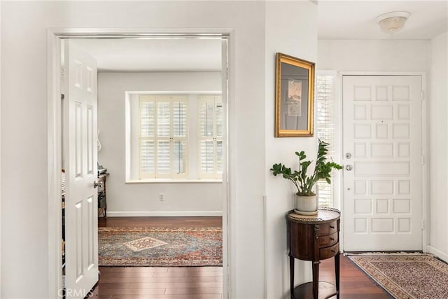 foyer featuring plenty of natural light and dark wood-type flooring