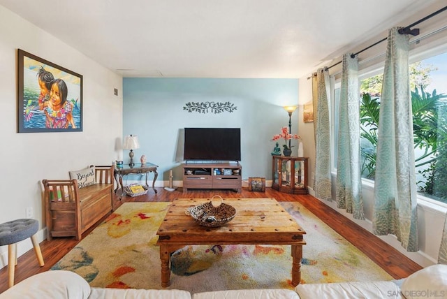 living room featuring hardwood / wood-style floors