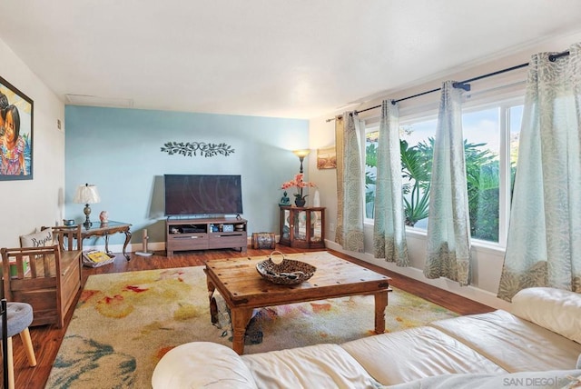 living room with hardwood / wood-style flooring