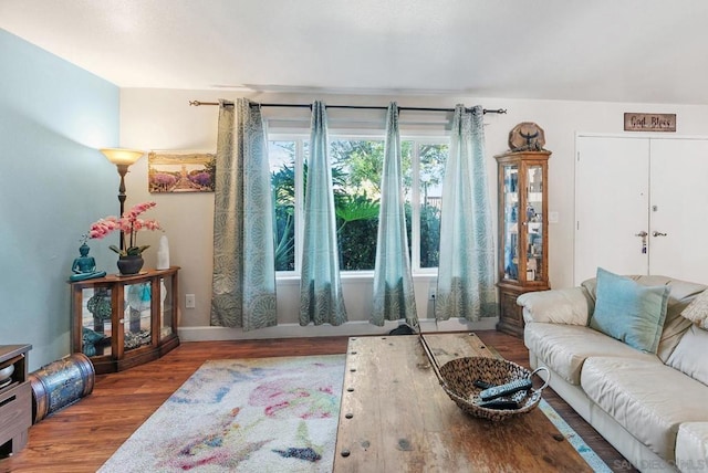 living room with hardwood / wood-style floors