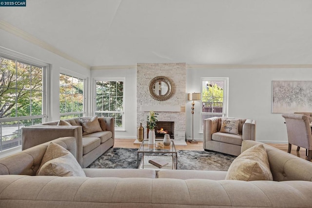 living room with hardwood / wood-style flooring, a large fireplace, and crown molding