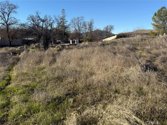 view of local wilderness