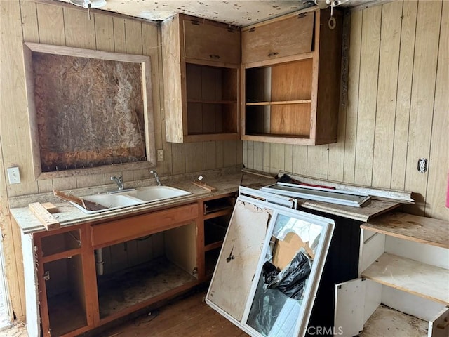 miscellaneous room featuring sink, dark wood-type flooring, and wood walls