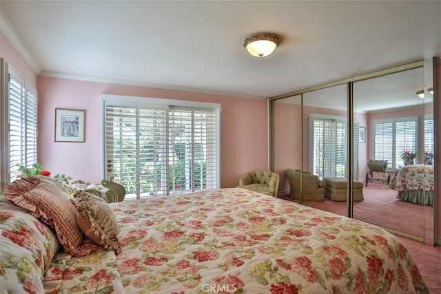 carpeted bedroom featuring a closet, crown molding, and multiple windows