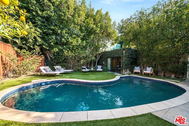 view of swimming pool with a yard