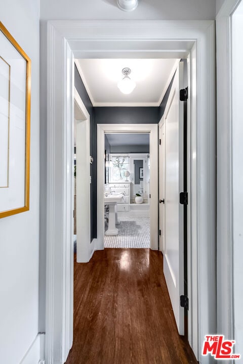 hallway with dark hardwood / wood-style floors and crown molding