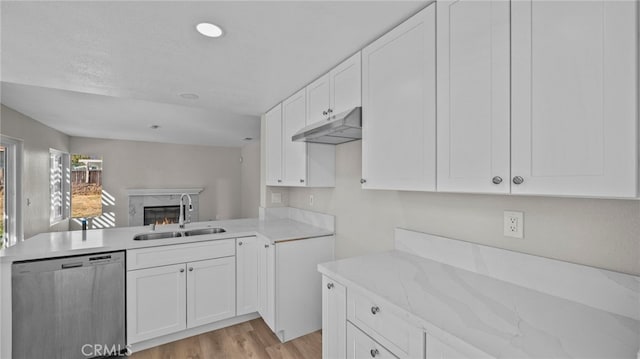 kitchen with stainless steel dishwasher, a premium fireplace, white cabinetry, a sink, and under cabinet range hood