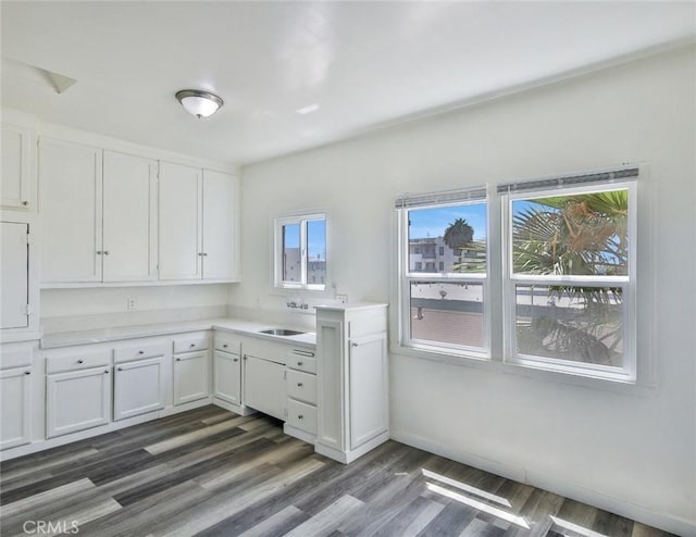 interior space with sink, dark wood-type flooring, and white cabinetry