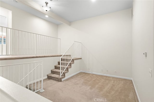 stairs with carpet floors