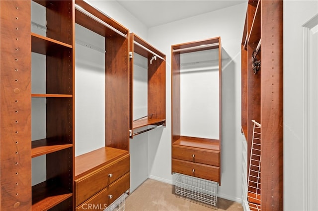 walk in closet with light colored carpet