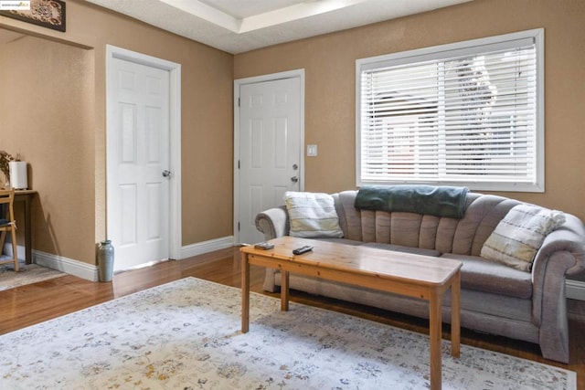 living room featuring hardwood / wood-style floors