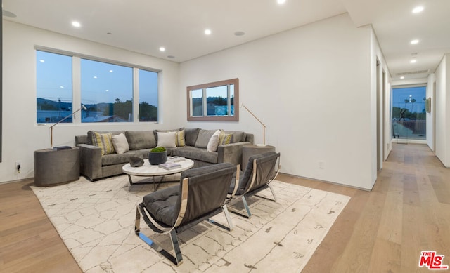 living room with light hardwood / wood-style flooring