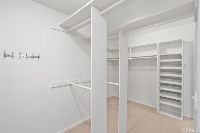 walk in closet featuring carpet