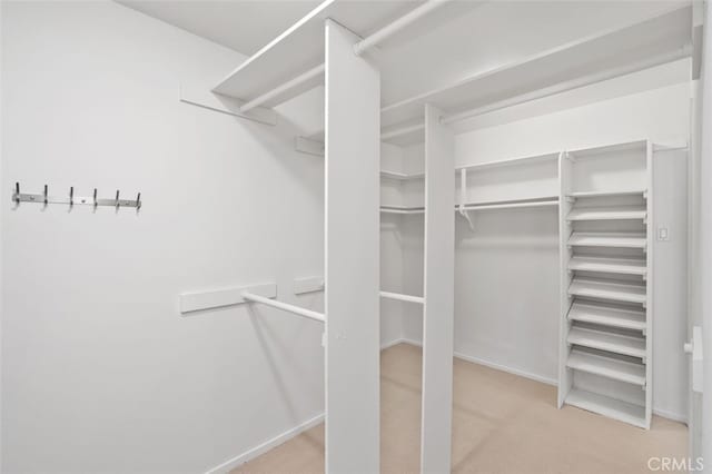 spacious closet with carpet