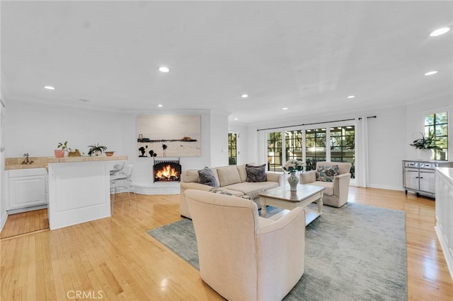 living room with light hardwood / wood-style flooring and sink