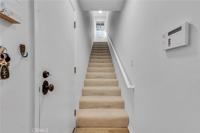 stairs with hardwood / wood-style floors