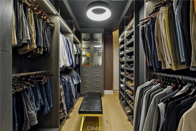 spacious closet featuring wood-type flooring